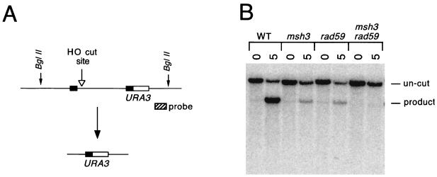 FIG. 5