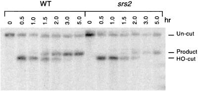 FIG. 8