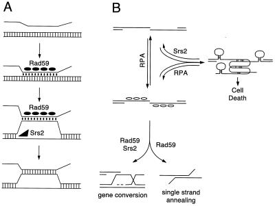 FIG. 9