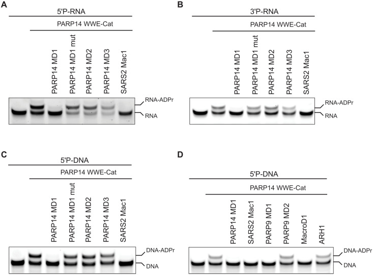 Fig. 3.