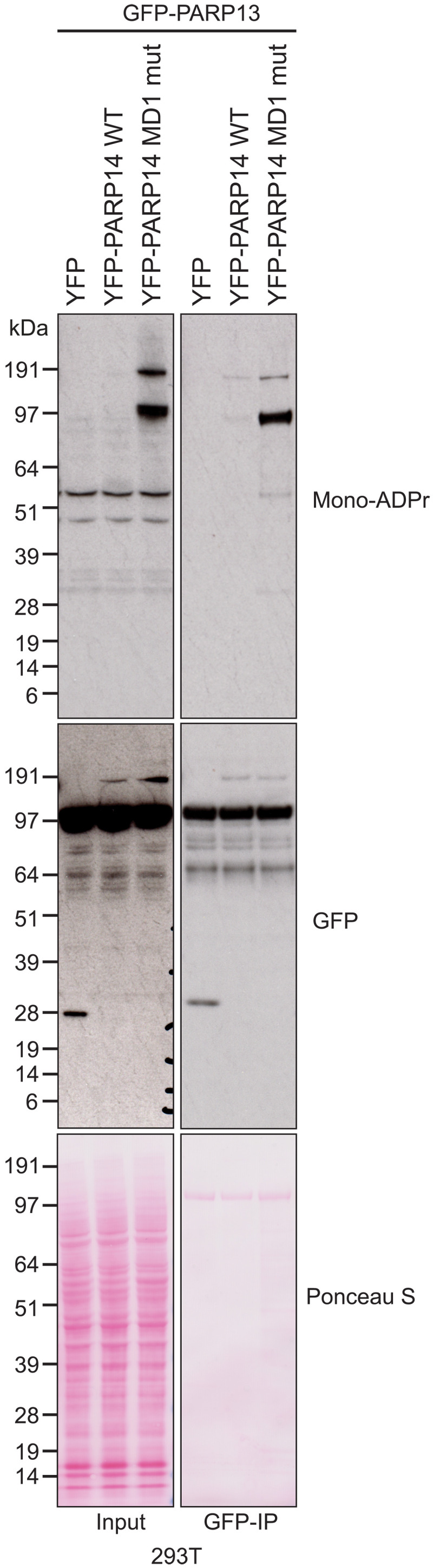 Fig. 6.