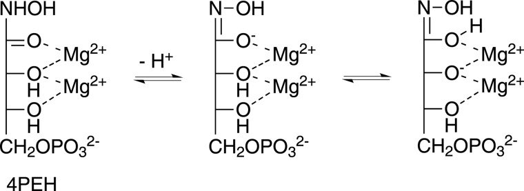 FIGURE 10.