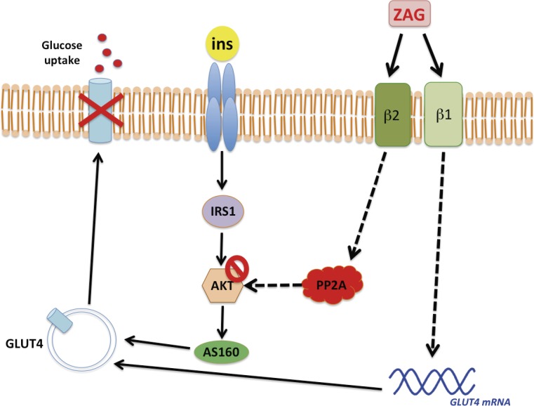 Fig 5