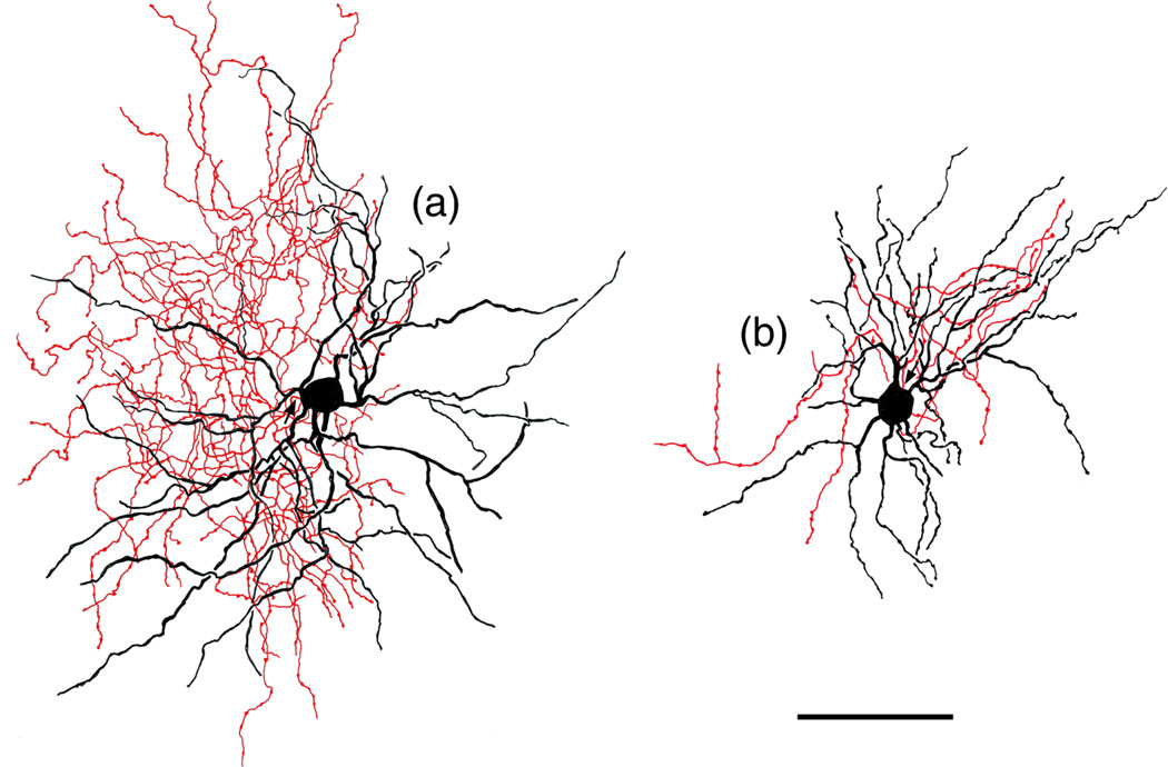 FIGURE 14