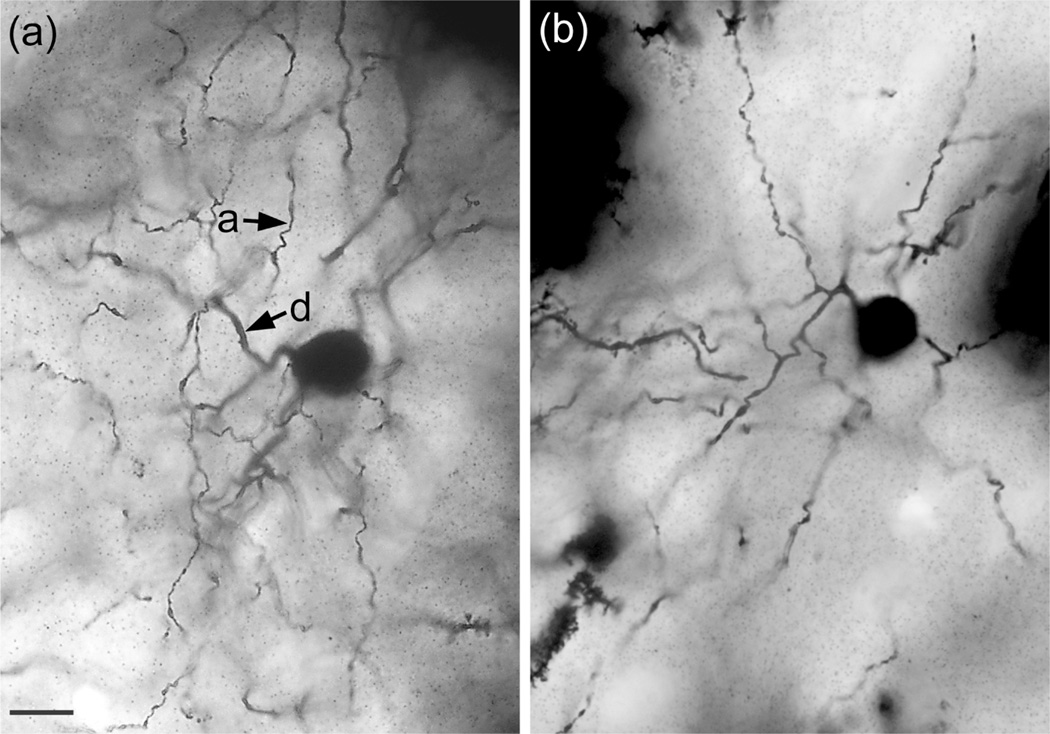 FIGURE 15