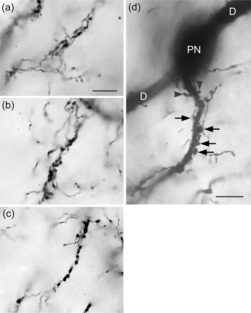 FIGURE 13