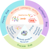 Image, graphical abstract