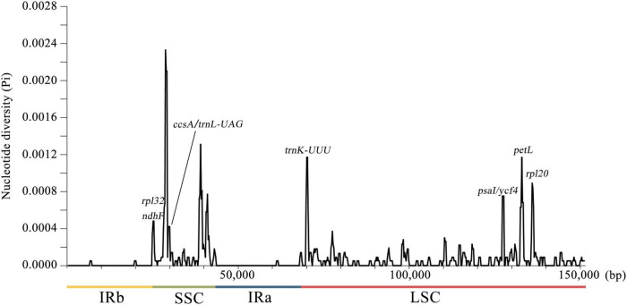 FIGURE 4