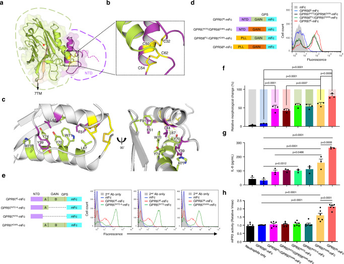 Fig. 4