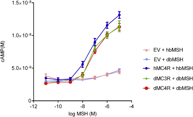 Figure 4