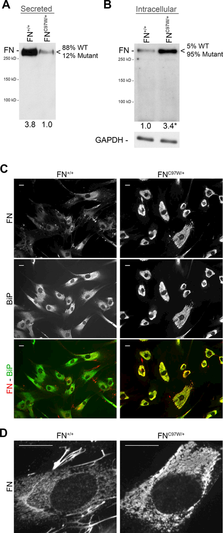 Figure 4: