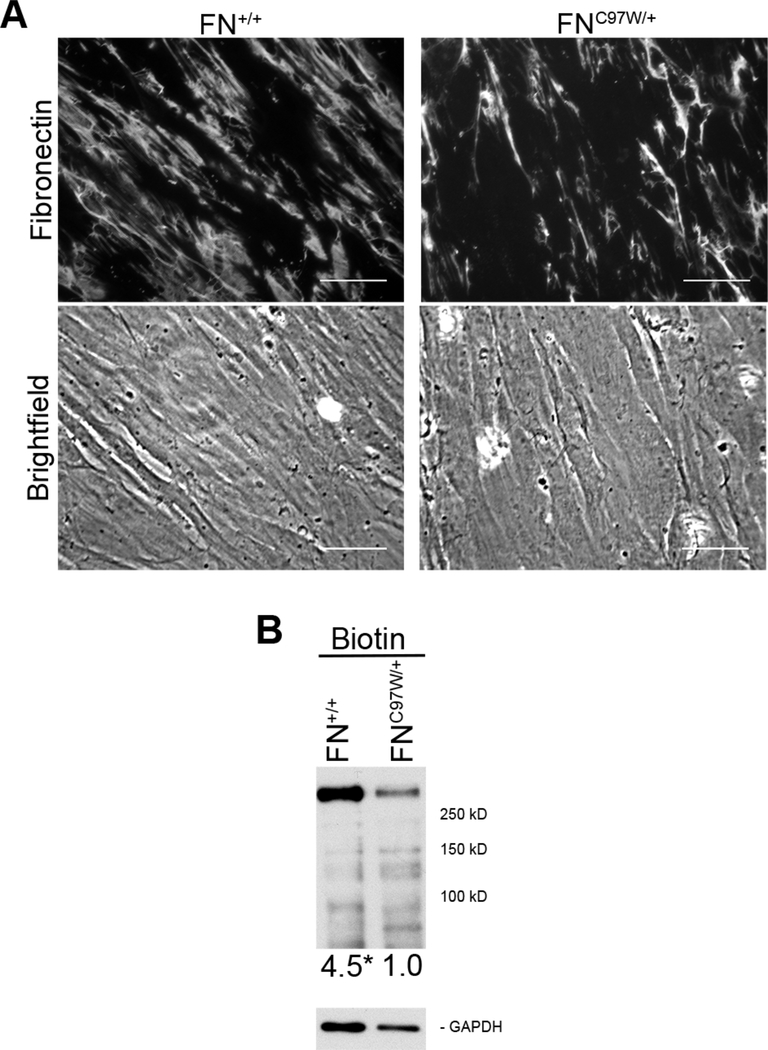 Figure 3: