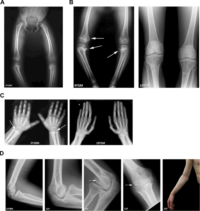 Figure 2: