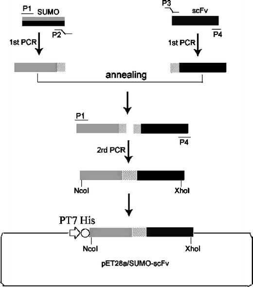 Fig. 1