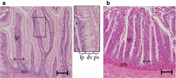 Fig. 7