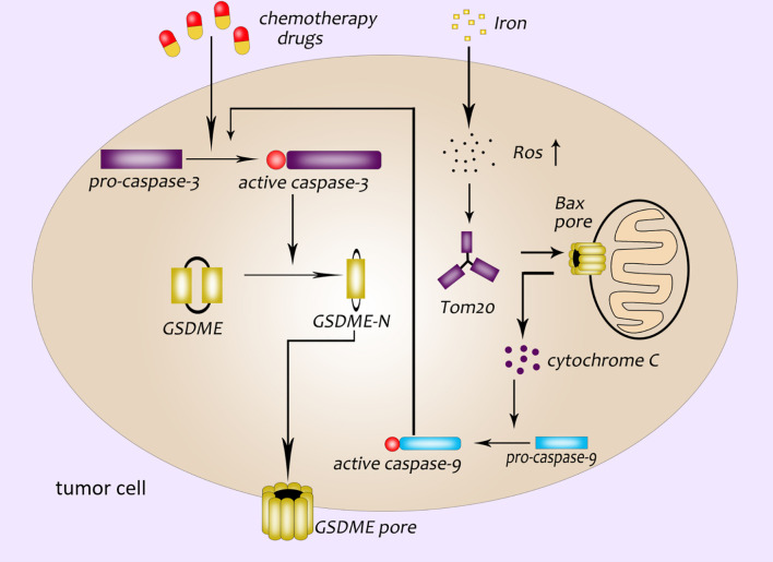 Figure 3