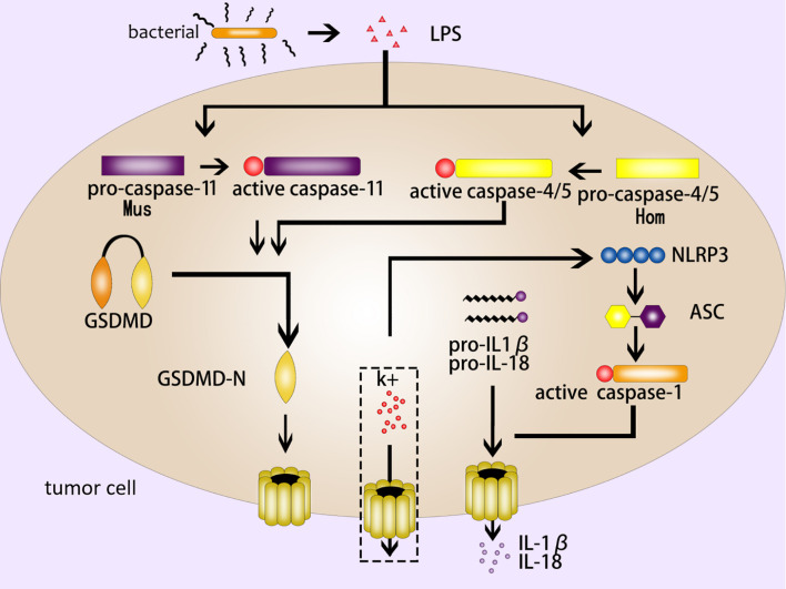 Figure 2