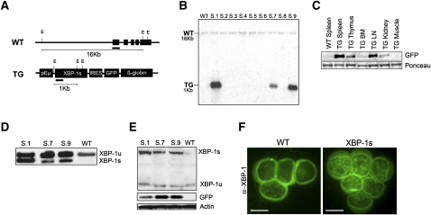 Figure 2