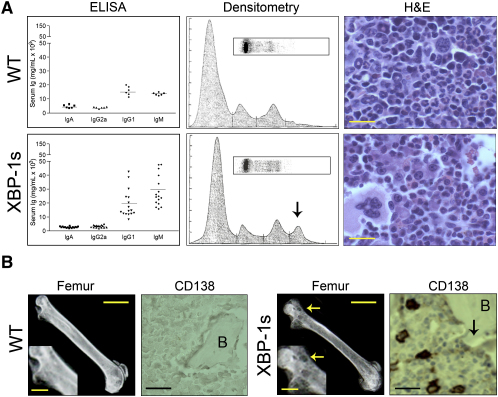 Figure 4