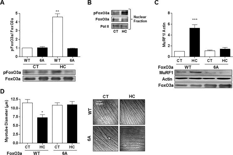 FIGURE 10.