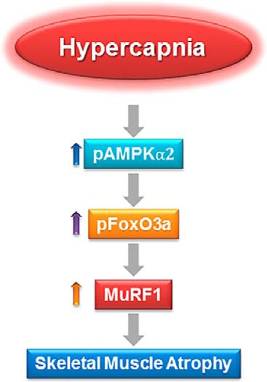 FIGURE 11.