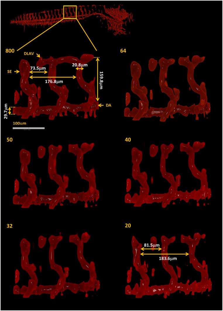 Fig 8