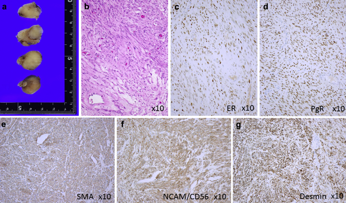 Figure 3