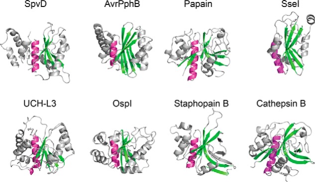 FIGURE 2.