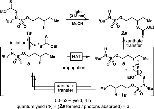 Scheme 4.