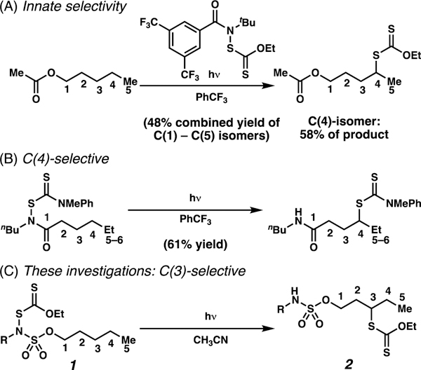 Scheme 2.