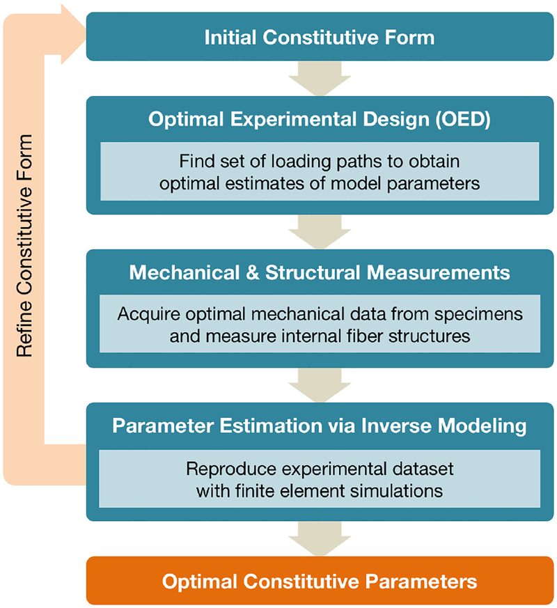 Figure 1: