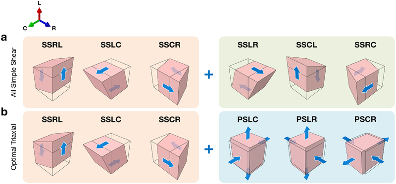 Figure 2: