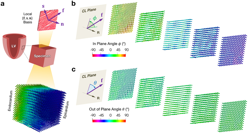 Figure 4: