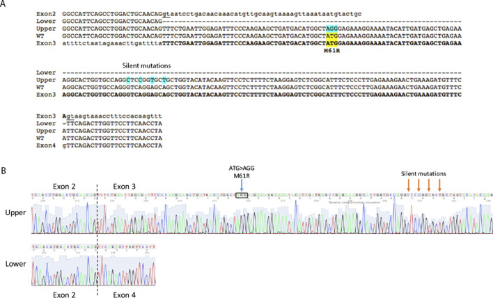 Figure 1—figure supplement 1.