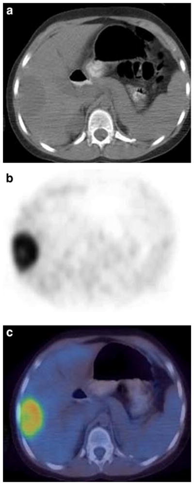 Fig. 5