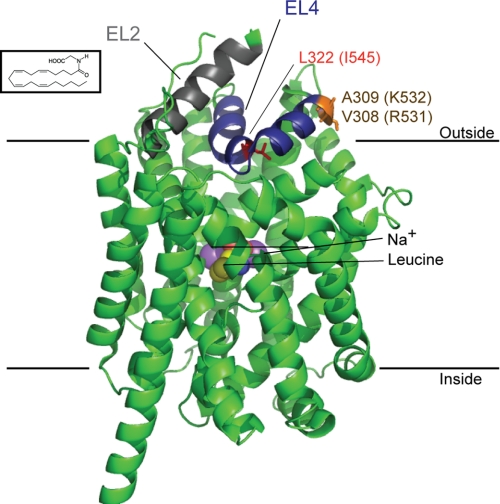 FIGURE 7.