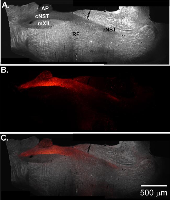 Fig. 7