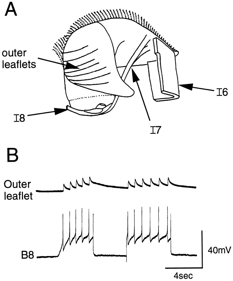 Fig. 5.