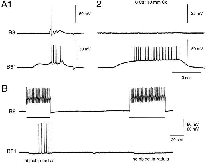 Fig. 9.