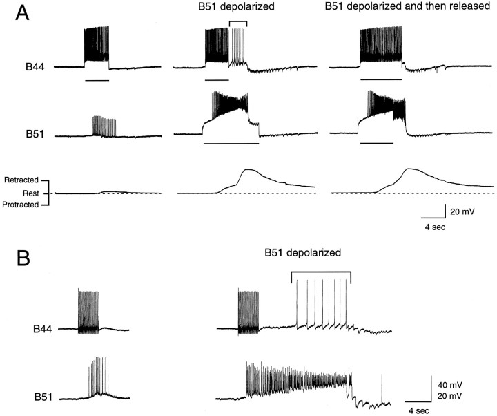 Fig. 11.