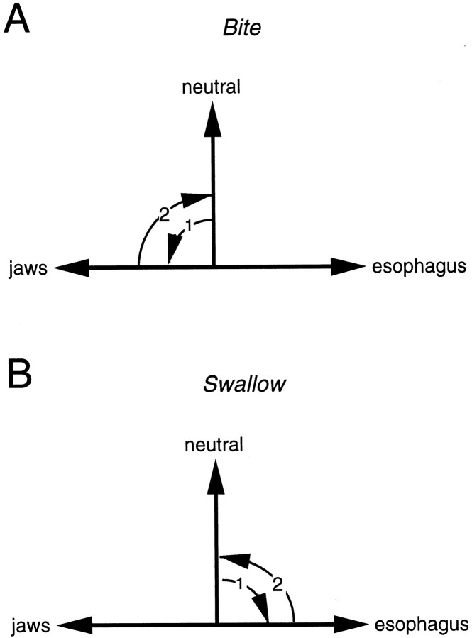 Fig. 14.