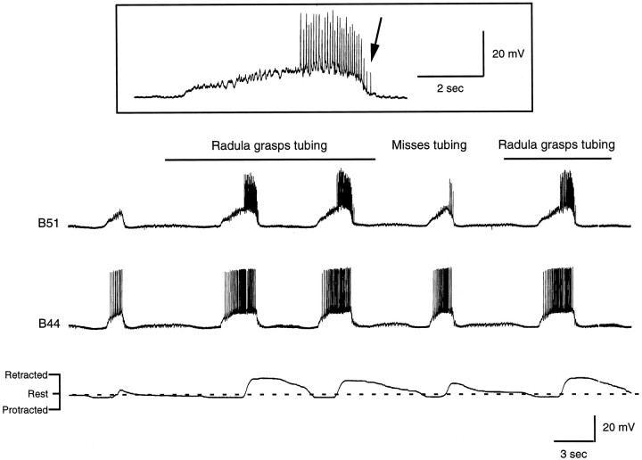 Fig. 16.