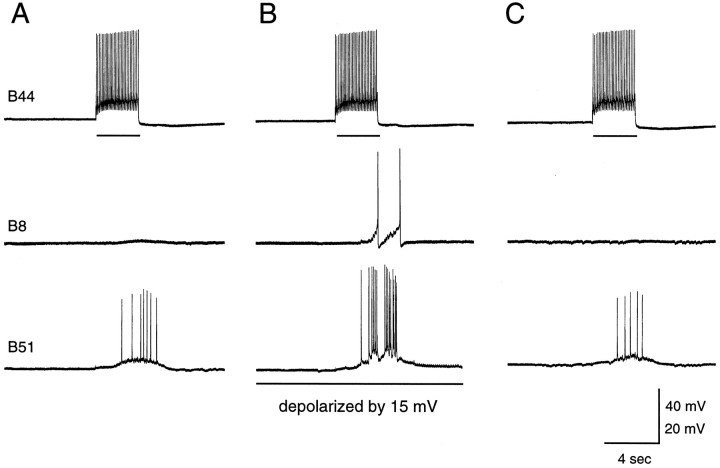 Fig. 10.