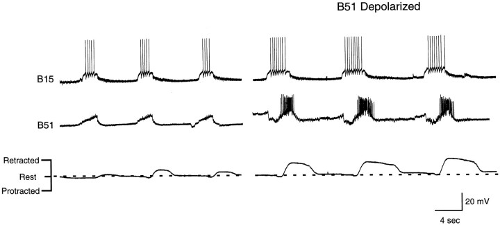 Fig. 12.