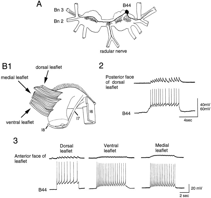 Fig. 4.