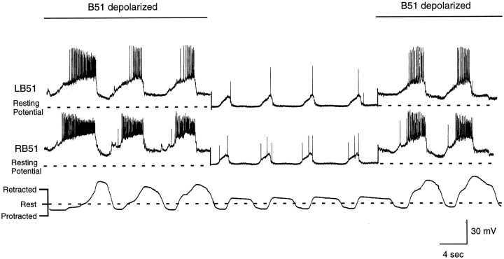 Fig. 13.