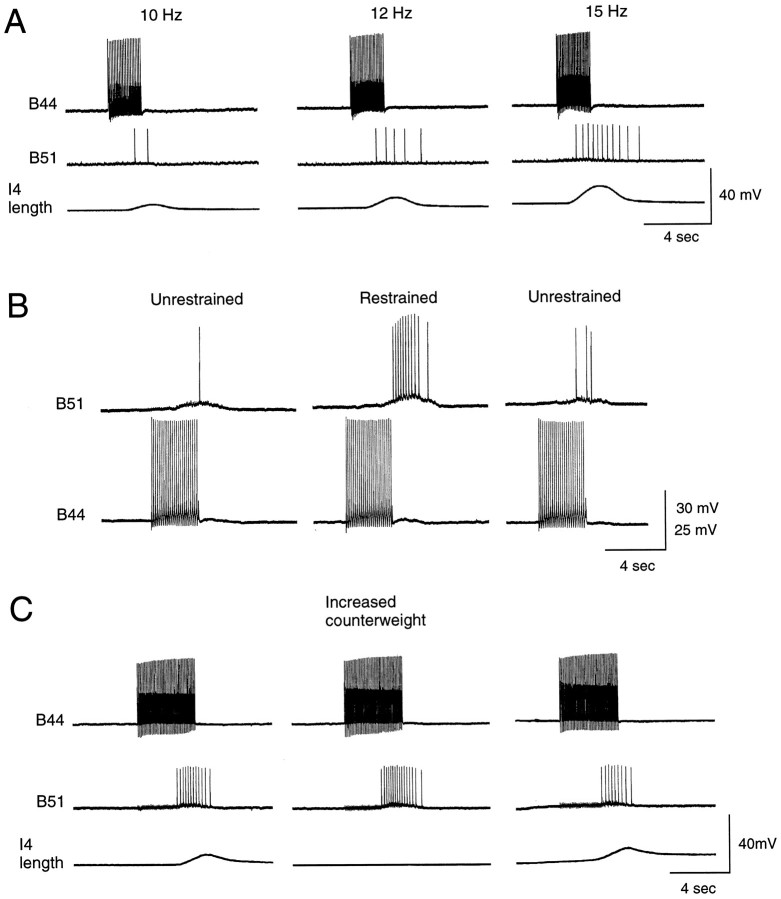 Fig. 8.