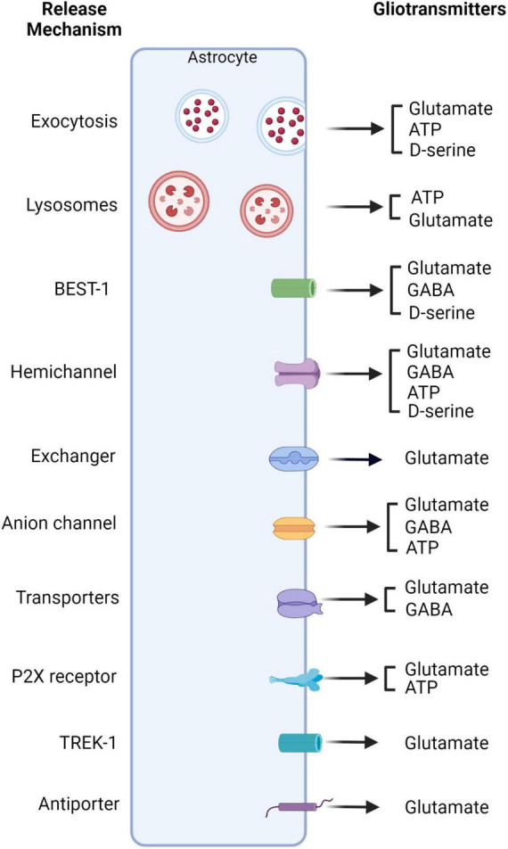 FIGURE 2