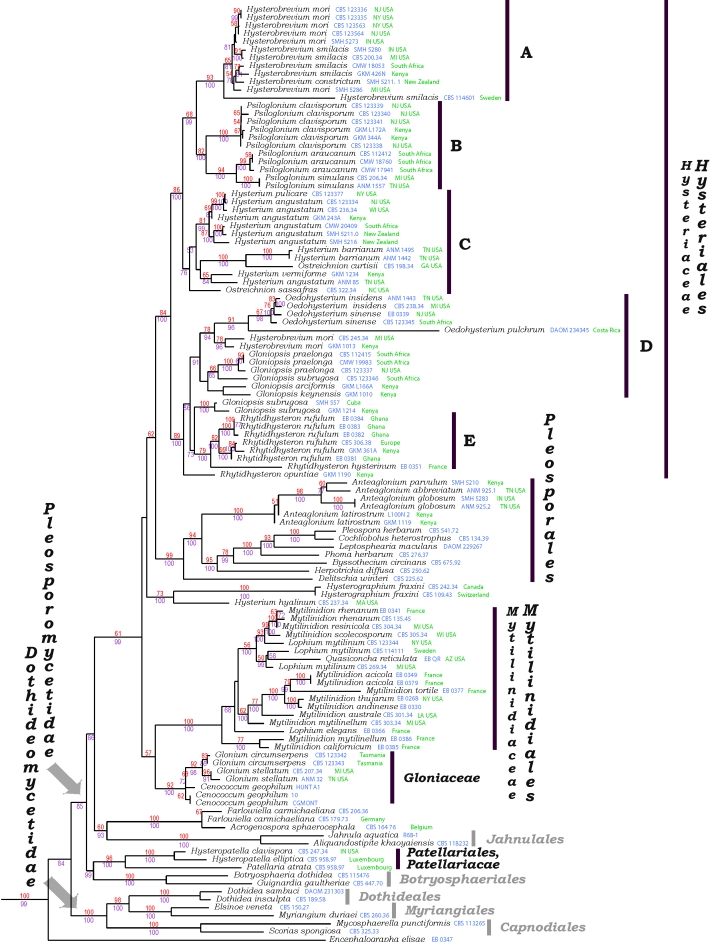 Fig. 1.