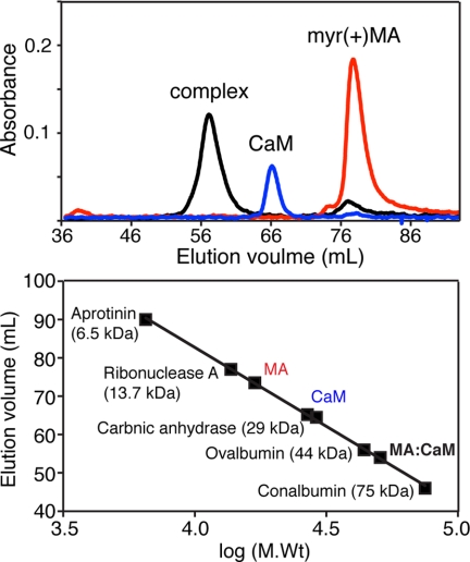 FIGURE 1.